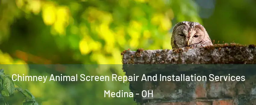 Chimney Animal Screen Repair And Installation Services Medina - OH