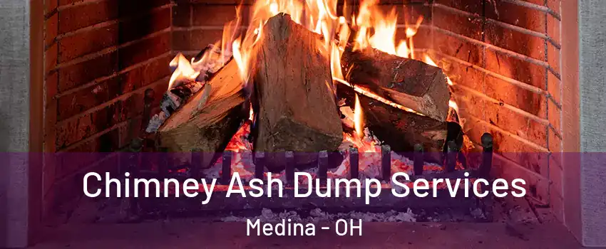  Chimney Ash Dump Services Medina - OH