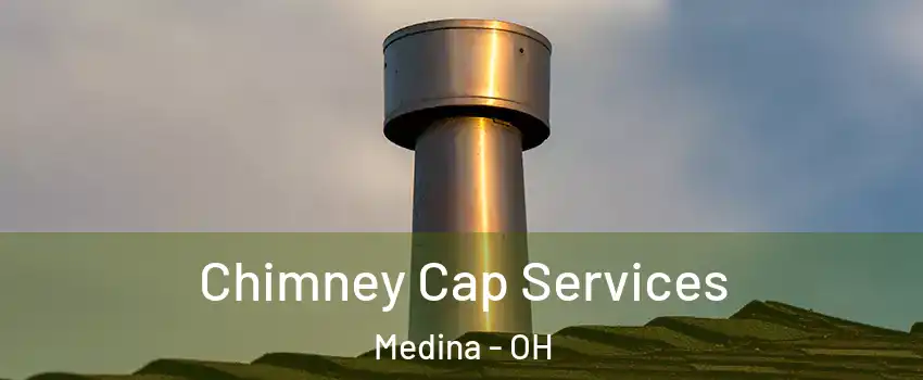  Chimney Cap Services Medina - OH