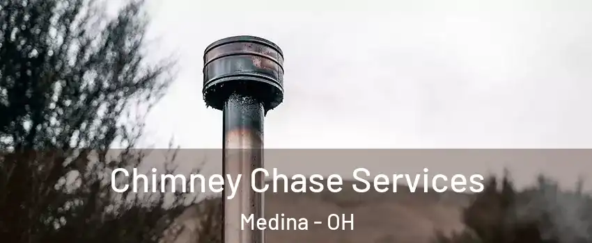  Chimney Chase Services Medina - OH