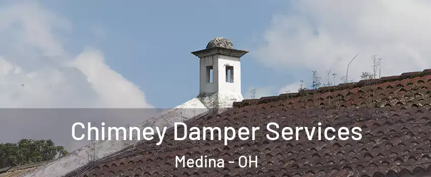  Chimney Damper Services Medina - OH
