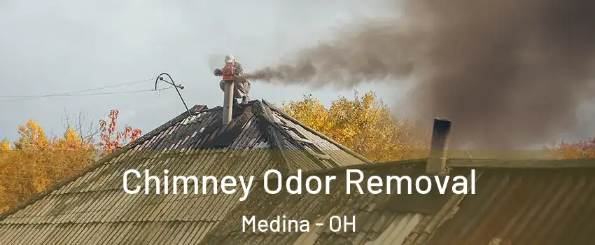 Chimney Odor Removal Medina - OH
