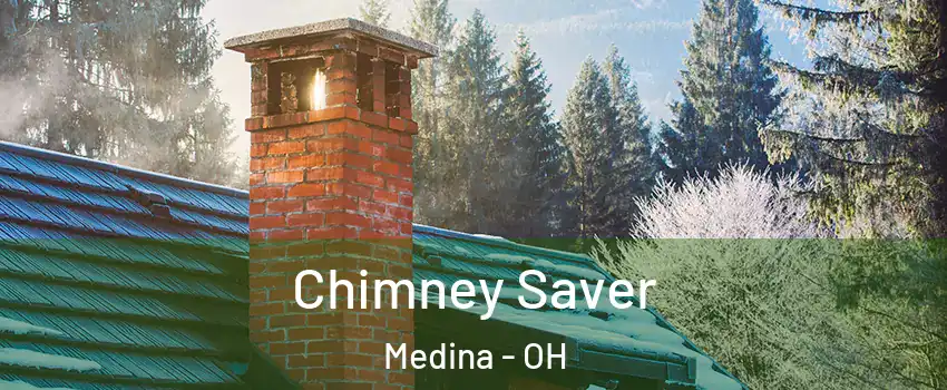  Chimney Saver Medina - OH