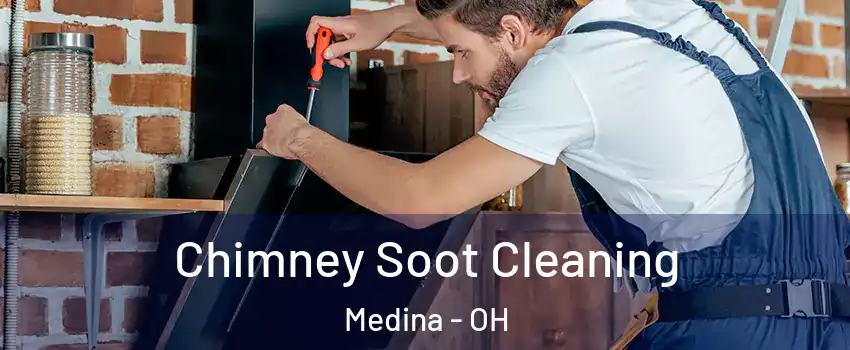  Chimney Soot Cleaning Medina - OH