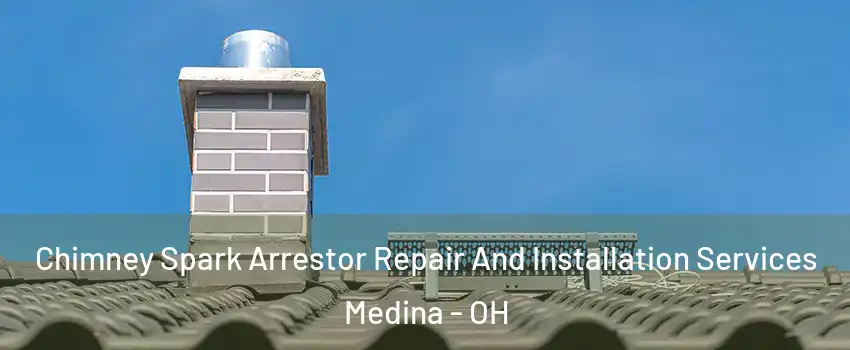  Chimney Spark Arrestor Repair And Installation Services Medina - OH