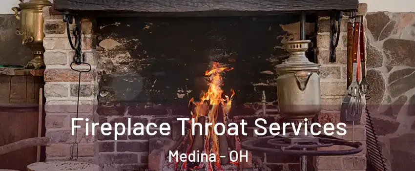  Fireplace Throat Services Medina - OH
