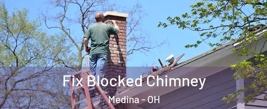  Fix Blocked Chimney Medina - OH