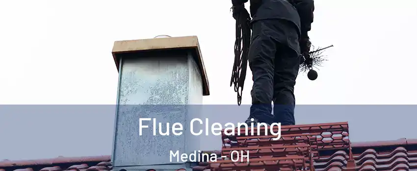  Flue Cleaning Medina - OH