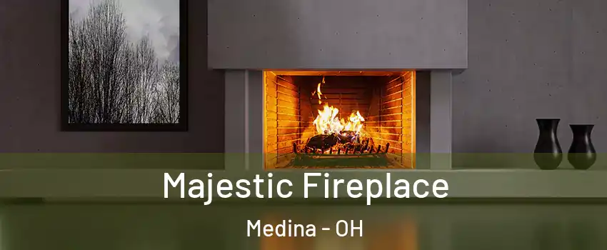  Majestic Fireplace Medina - OH