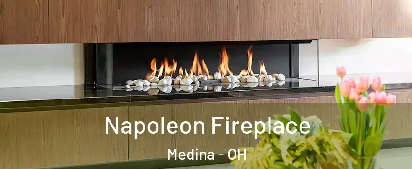  Napoleon Fireplace Medina - OH