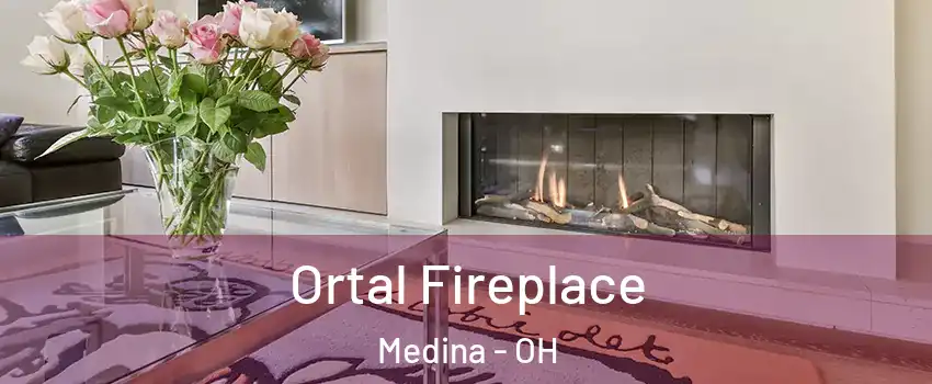 Ortal Fireplace Medina - OH